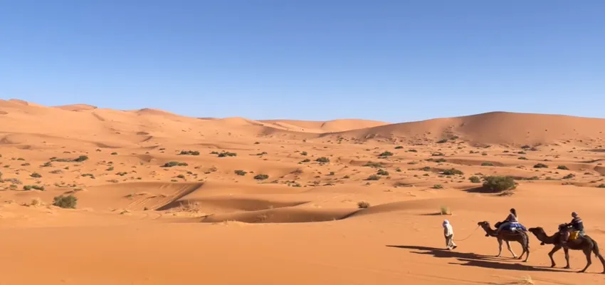 Taking Camel Trek Into The Erg Chebbi Dunes 3