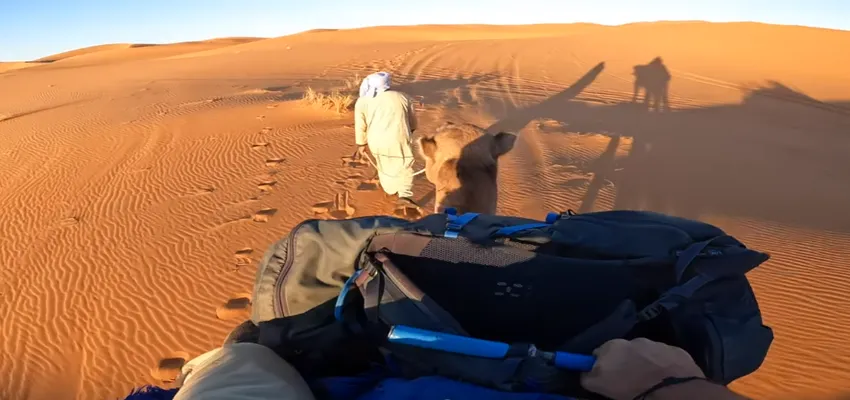 Taking Camel Trek Into The Erg Chebbi Dunes 5