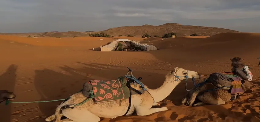 Taking Camel Trek Into The Erg Chebbi Dunes 6