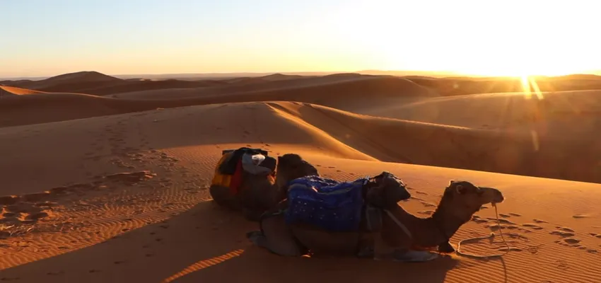 Watch the Sunrise and Sunset Over The Sand Dunes 5