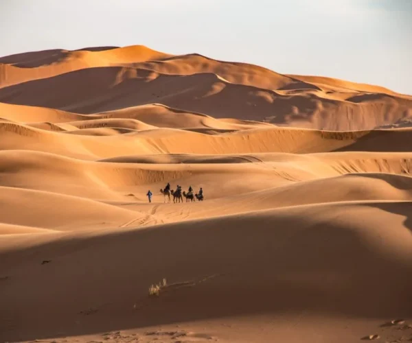 5 Days Desert Tour From Marrakech to Casablanca